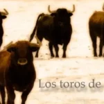 El destino de los animales después de la muerte: Una mirada desde la Biblia